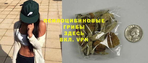 соль ск Горнозаводск