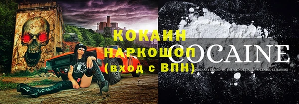 мяу мяу мука Гусев
