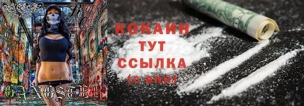соль ск Горнозаводск